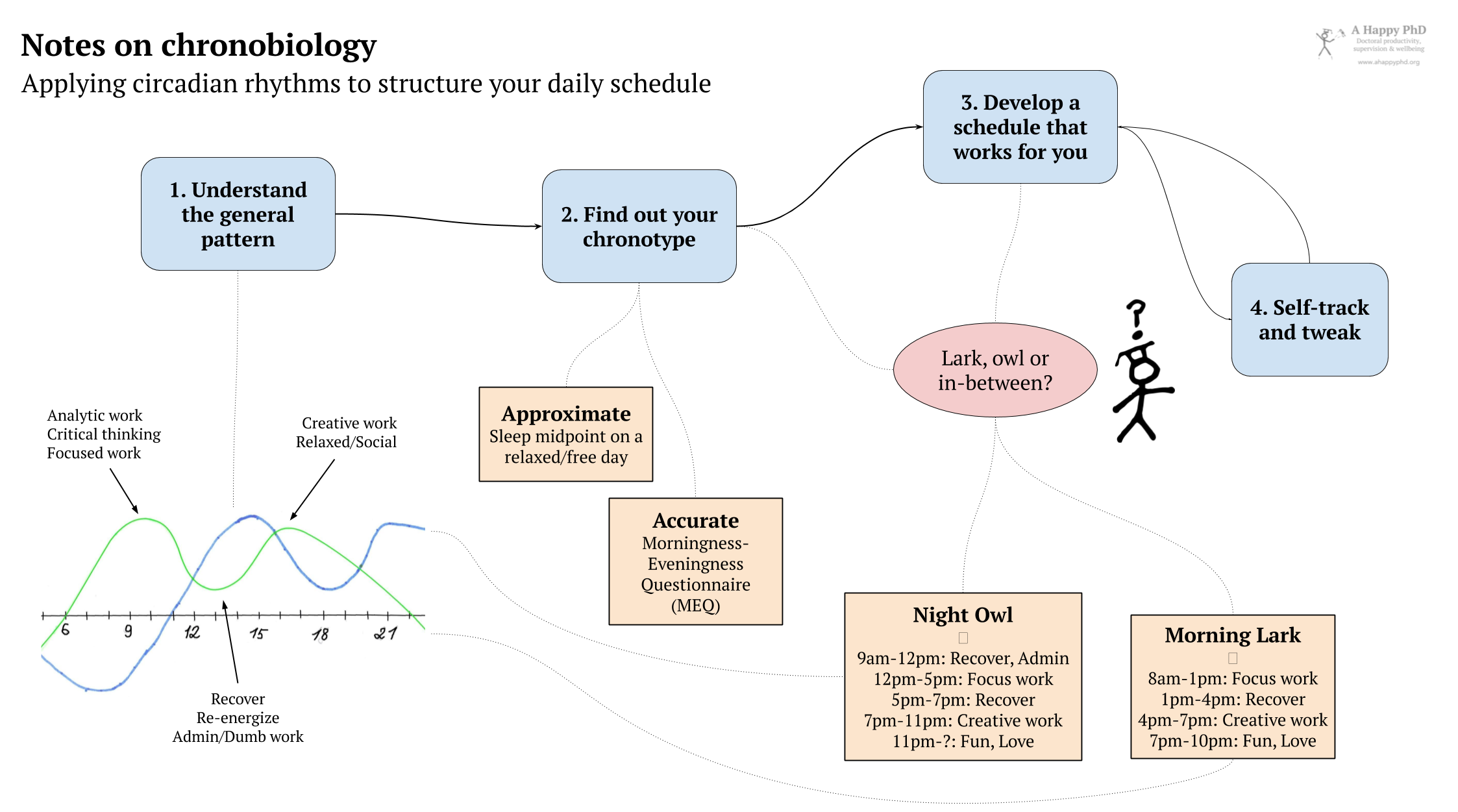 Diagram showing the main ideas of the post: understanding the general circadian pattern, finding your chronotype and working out a good schedule
