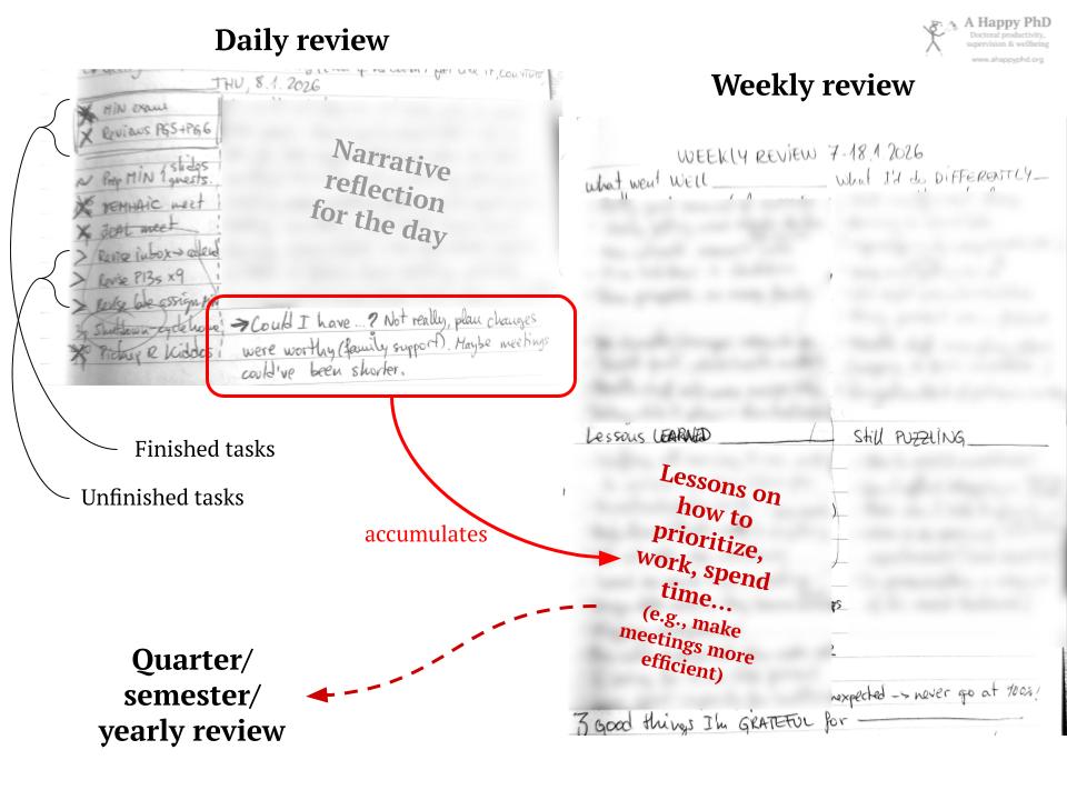 Images of my reviews at different timescales, where responses accreted